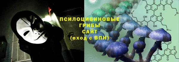герыч Алексин