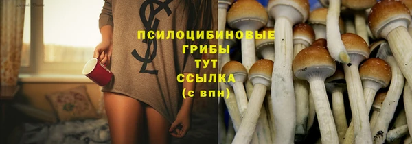 герыч Алексин