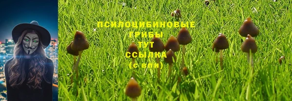 прущие крисы Ростов