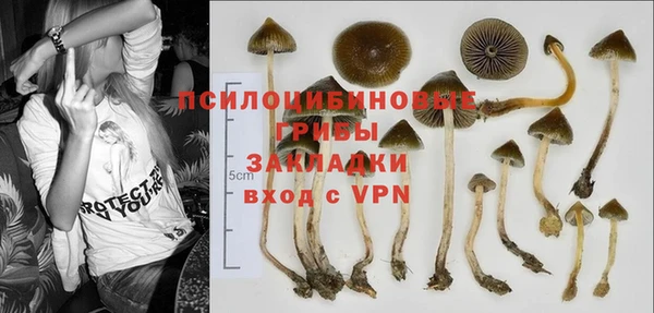 кокаин Алексеевка