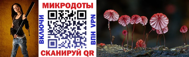 мега рабочий сайт  купить наркоту  Калач-на-Дону  Псилоцибиновые грибы Psilocybe 